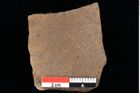 Foto (Detailansicht) von Enteromorpha stagnalis Heer (NHMW-GEO-2024-0188-0093)